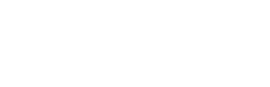 Borna Surveys