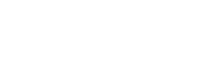 Borna Surveys